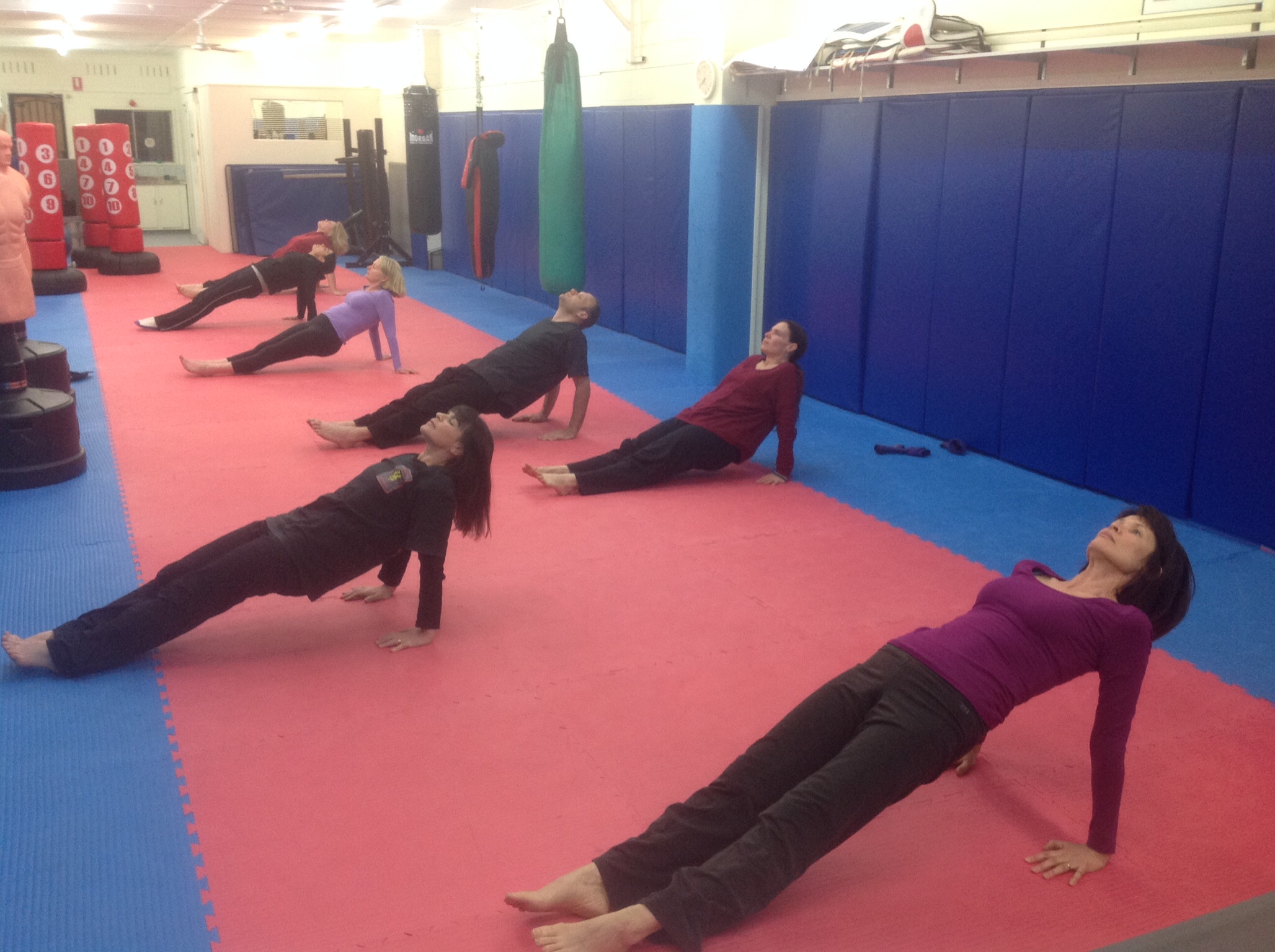 Martial Yoga-Reverse-Plank